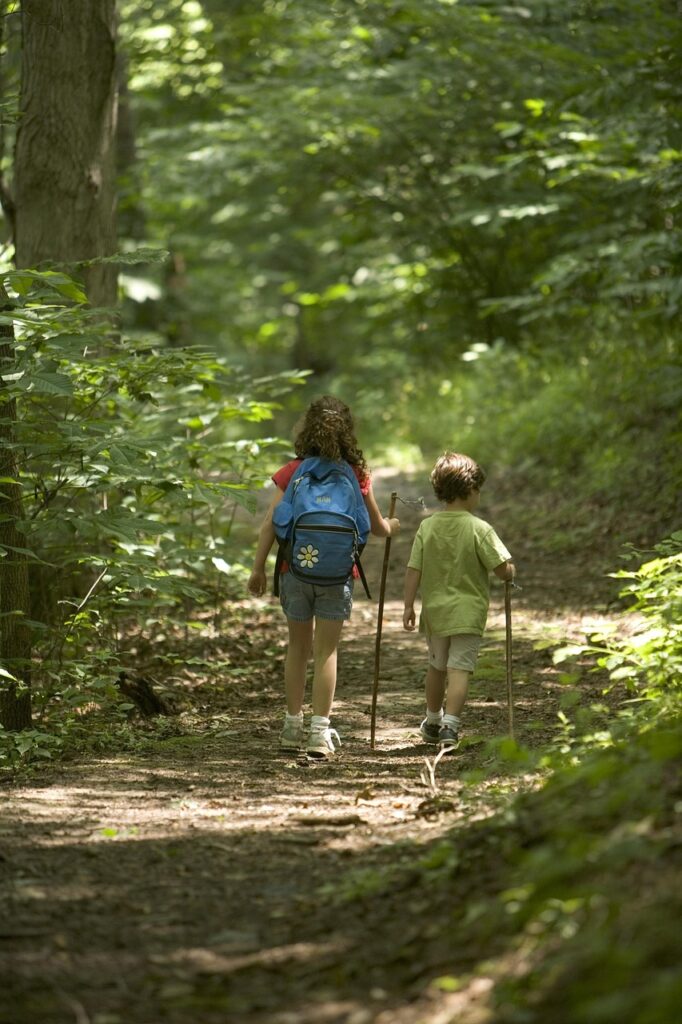 forest-hiking-kids-386751 forest, hiking, kids-386751.jpg